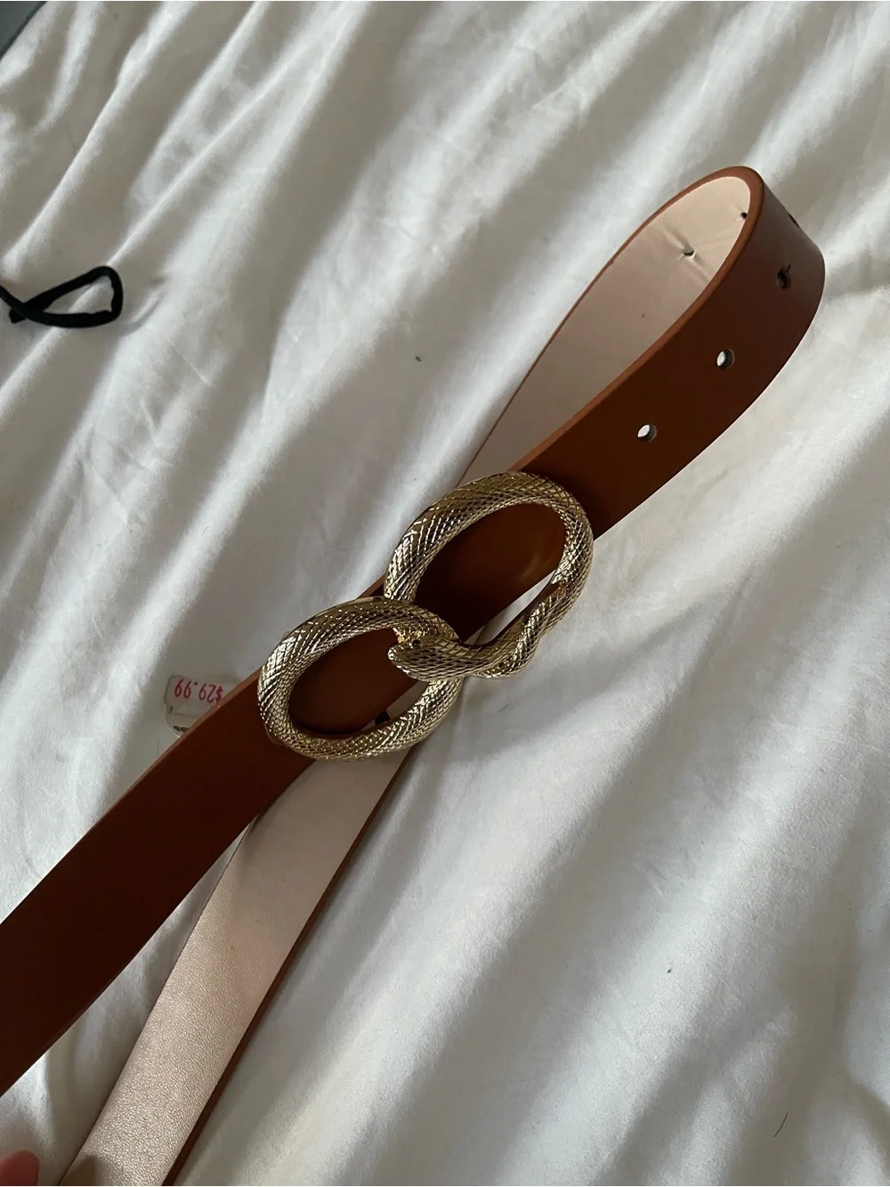 Express Brown Leather Belt with Gold Snake Buckle
